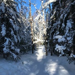 Meet your Posher, Aline